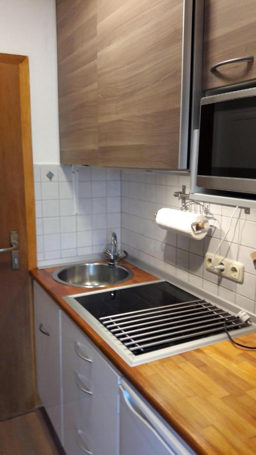 Appartement-harlachberg-blick-2 Appartement Bodenmais
